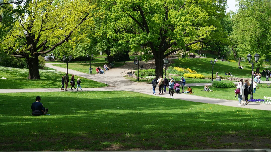 people relaxing in park