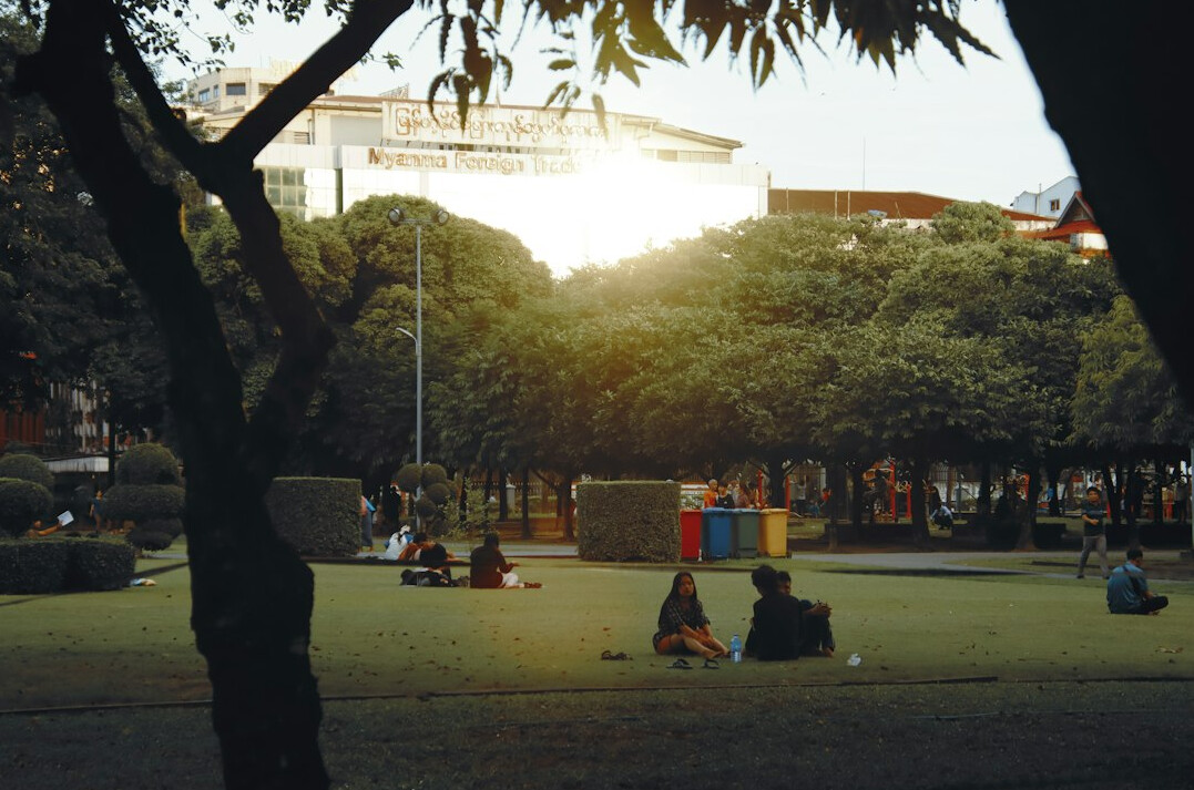 people in urban park at dawn