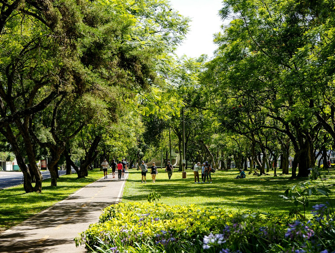 people walking in city park