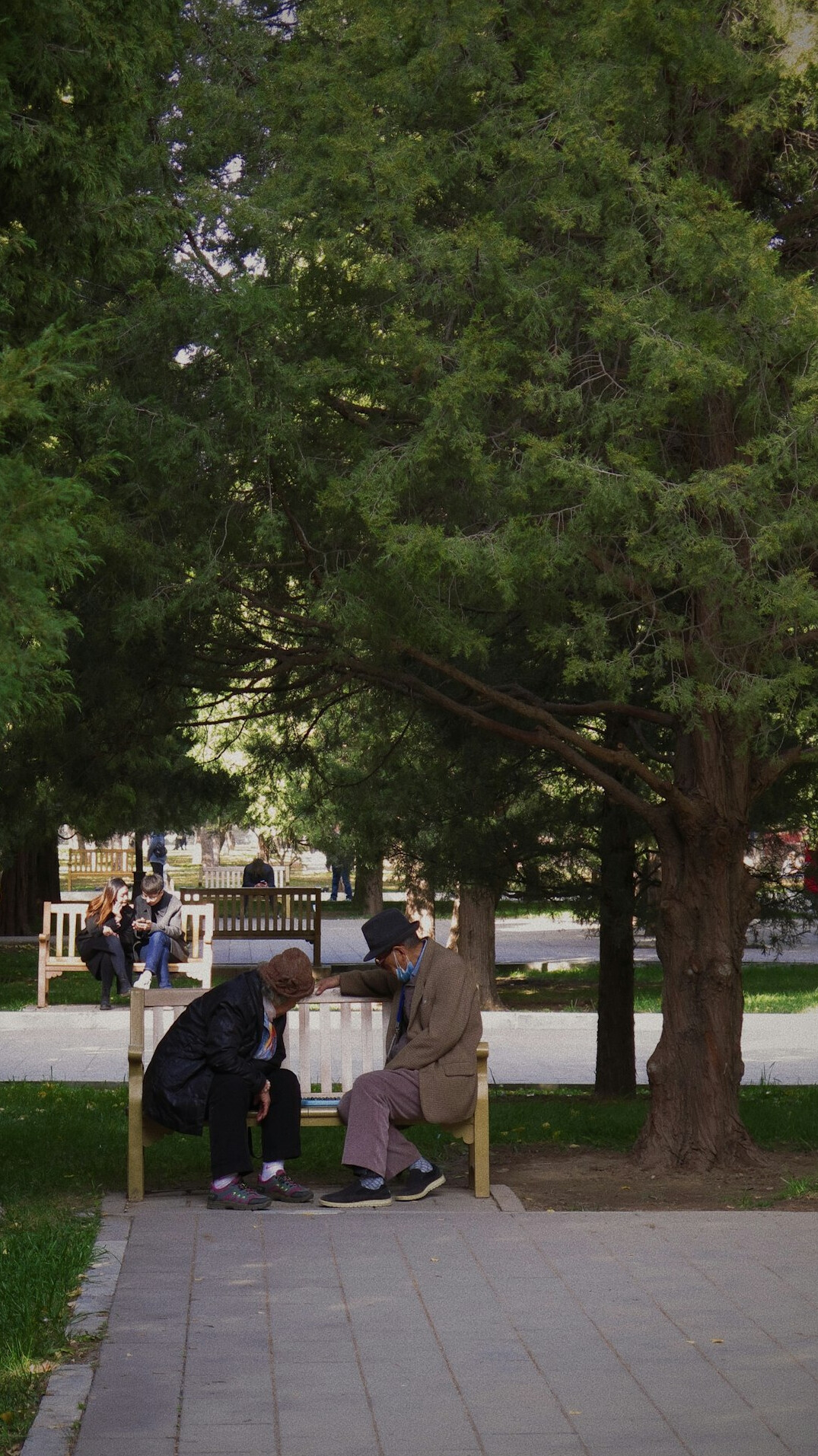 elderly people playing chess in park